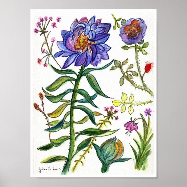 Poster Dessin botanique d'une merveilleuse fleur bleue (Devant)