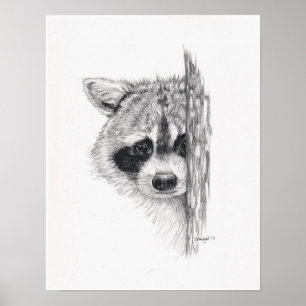 Poster Dessin crayon 'Pékin Raccoon'