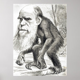 Poster Dessin De Charles Darwin 1871