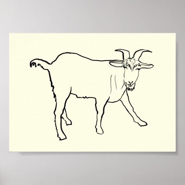 Poster Dessin de chèvre amusant Art d'animal de ferme de  (Devant)