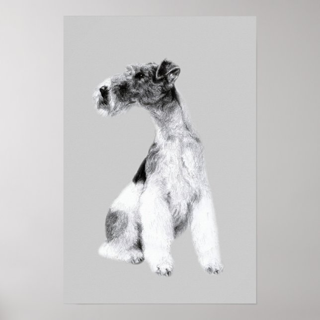 Poster Dessin de Fox Terrier (Devant)