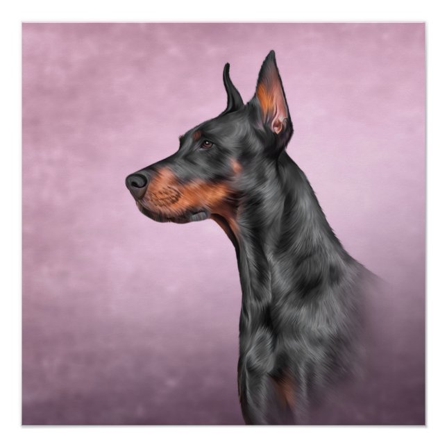 Poster Dessin Doberman (Devant)