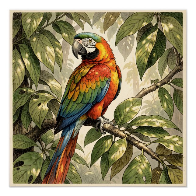 Poster Dessin d'oiseau perroquet sur un arbre (Devant)