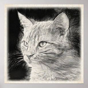 Poster ,dessin d'un chat