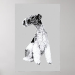 Poster Dessin Fox Terrier