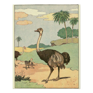 Poster Dessin Ostrich Storybook