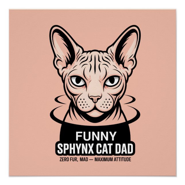 Poster Dessin vectoriel de papa de chat Sphynx drôle (Devant)