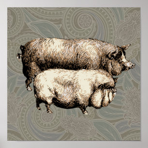 Poster Dessins de cochons antiques vintage