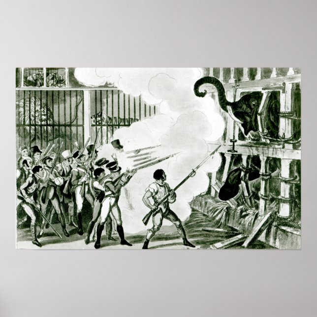 Poster Destruction de l'éléphant furieux à Exeter (Devant)