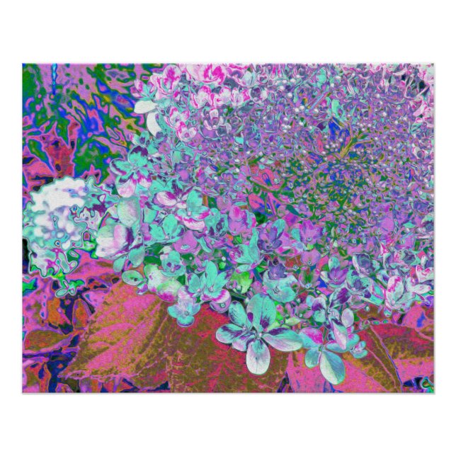 Poster Détail élégant d'hydrangea Limelight Aqua et Viole (Devant)