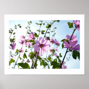 Poster d'été sur les fleurs d'arbre