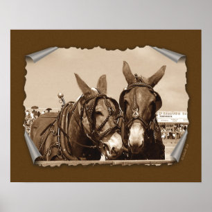 Poster Deux d'un genre