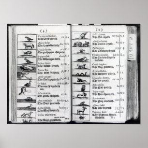 Poster Deux pages de 'Orbis Sensualium Pictus'