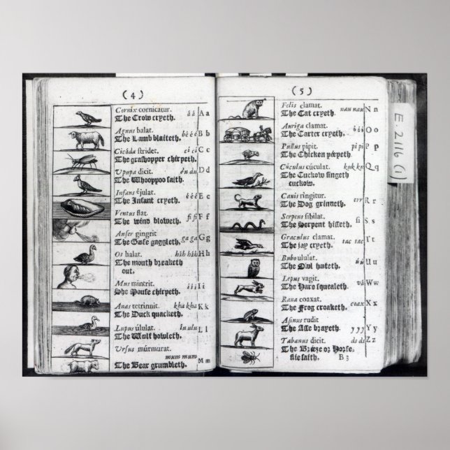 Poster Deux pages de 'Orbis Sensualium Pictus' (Devant)