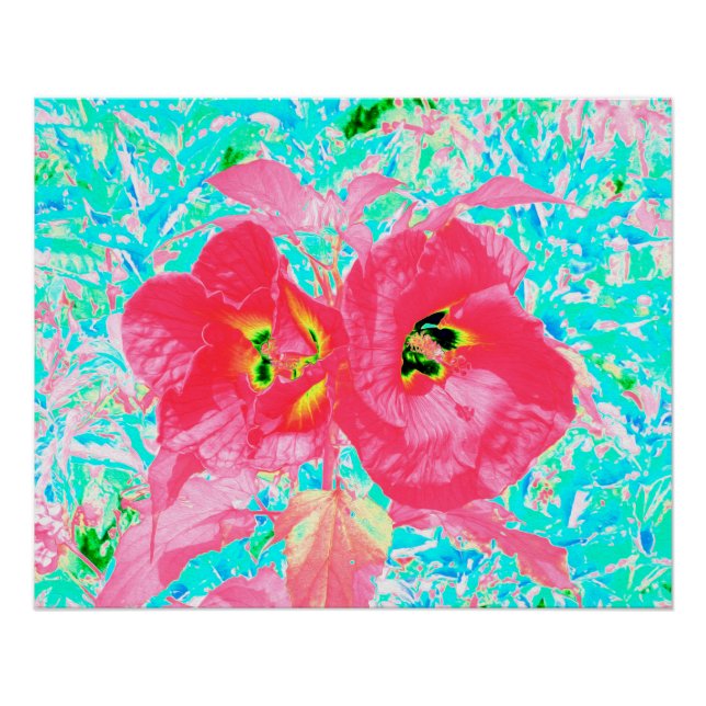 Poster Deux Rosy Red Coral Plum Crazy Hibiscus sur Aqua (Devant)
