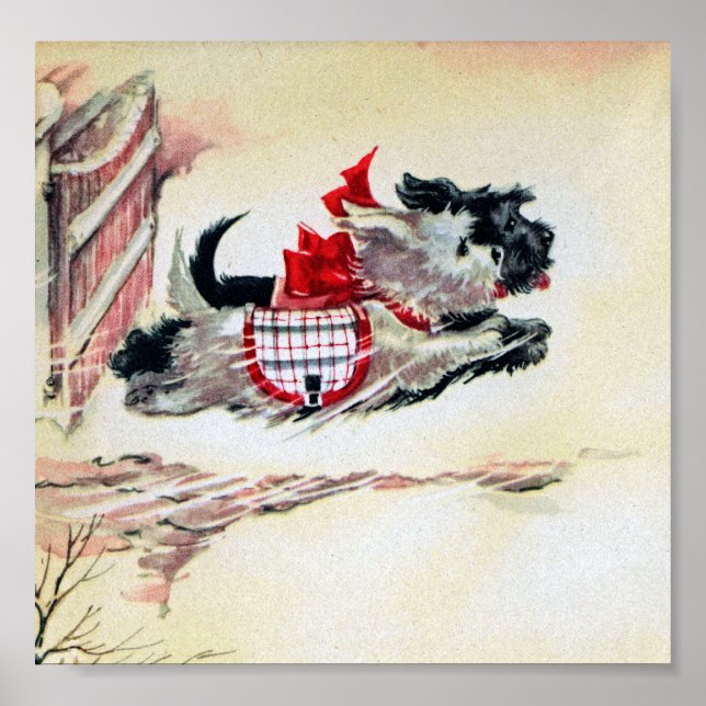 Poster Deux Scotties (Devant)