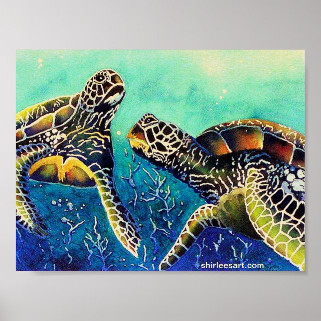 Poster deux tortues (Devant)