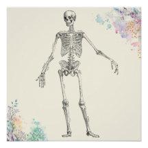 diagramme de fleur squelette de l'anatomie médical