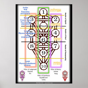 Poster Diagramme de l'arbre de vie Toutes les tailles