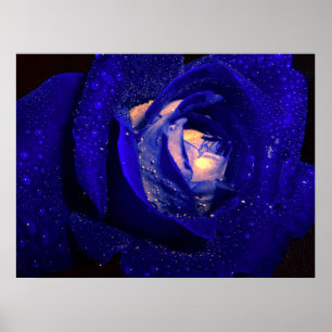 Poster diamants bleus