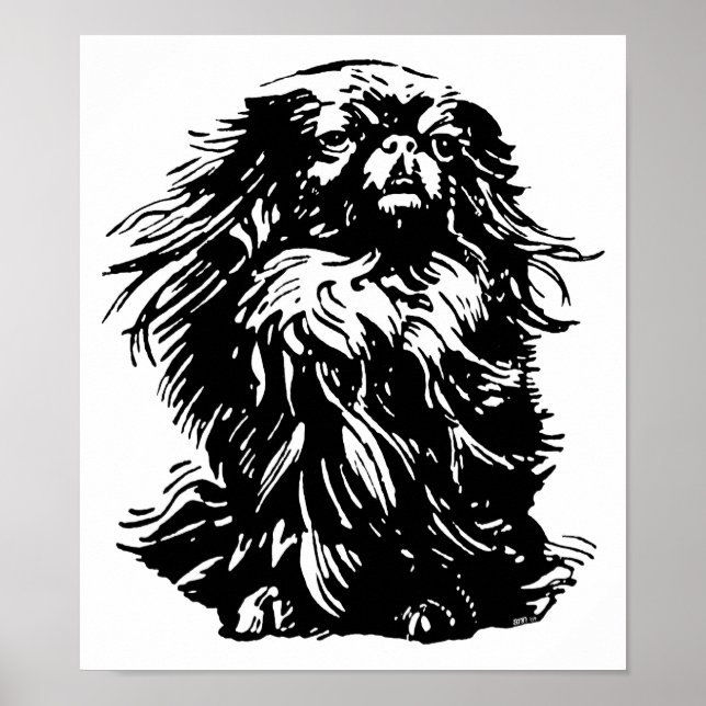 Poster Dignité Pekingese (Devant)