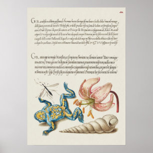 Poster d'illustration botanique vintage