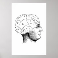 Poster d'illustration de l'anatomie de tête