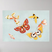 Poster d'illustration papillon