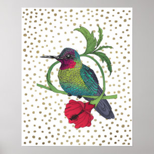 Poster d'illustrations d'oiseaux de Colibri Gold B