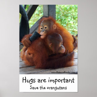 Poster D'importants carottes inspirantes