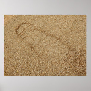 Poster d'impression d'amorçage Sawdust
