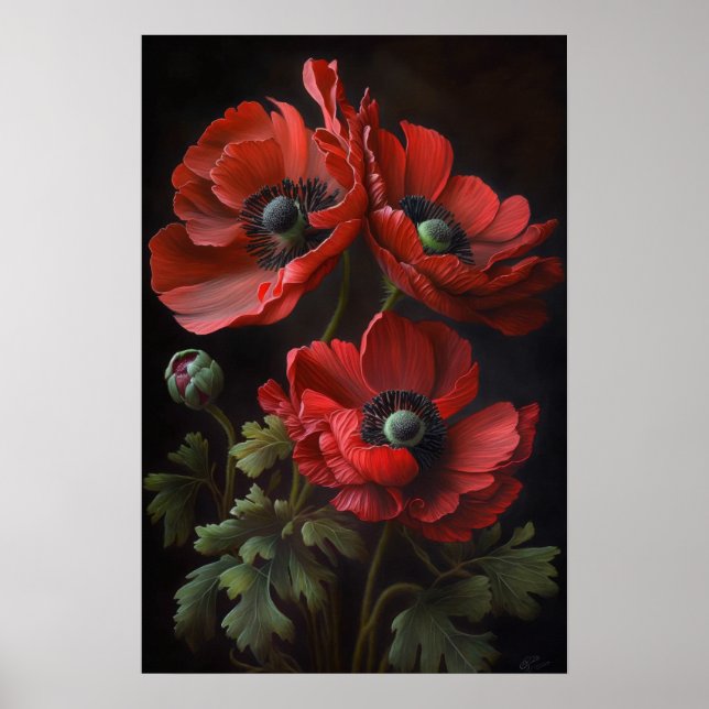 Poster d'impression d'Anemone Rouge (Devant)