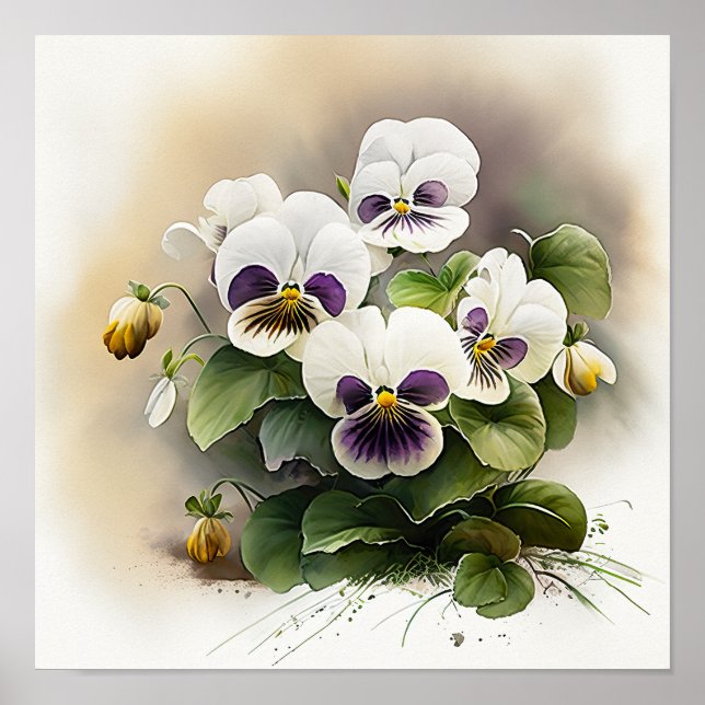 Poster d'impression d'art à la Fleur de Violas Bla (Devant)