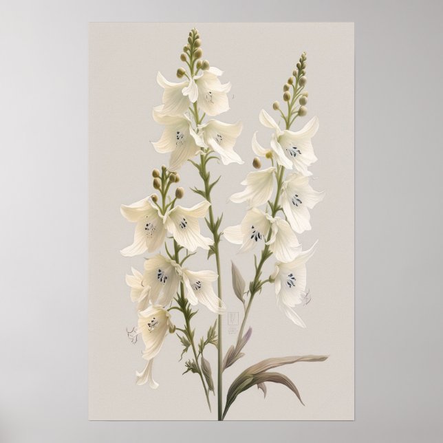 Poster d'impression d'art blanc Larkspur (Devant)