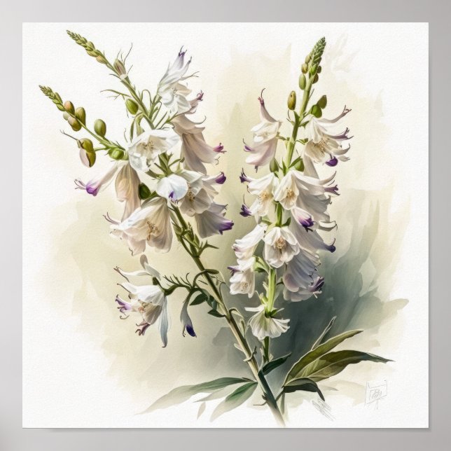 Poster d'impression d'art blanc Larkspur (Devant)
