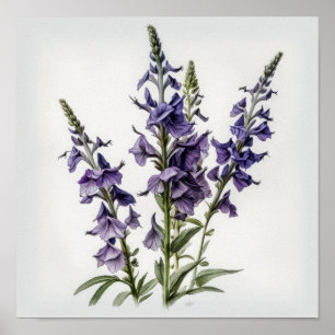 Poster d'impression d'art de la fleur de Larkspur 