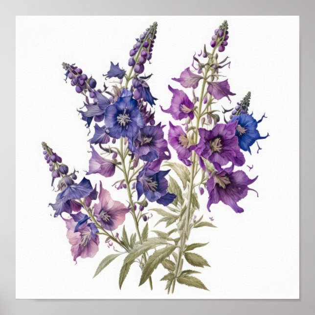 Poster d'impression d'art de la fleur de Larkspur  (Devant)