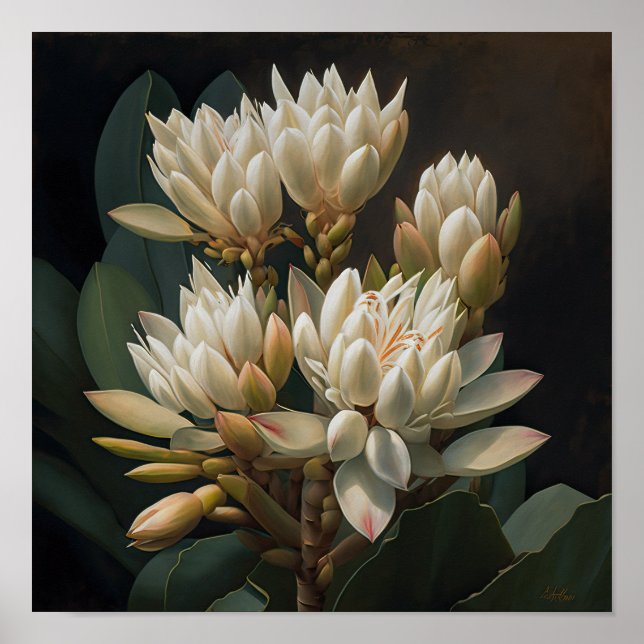 Poster d'impression d'art floral blanc Curcuma (Devant)