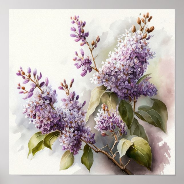 Poster d'impression d'art Lilac Fleurs (Devant)