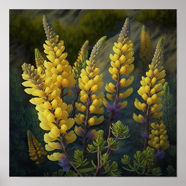 Poster d'impression d'Art Lupine Jaune (Devant)