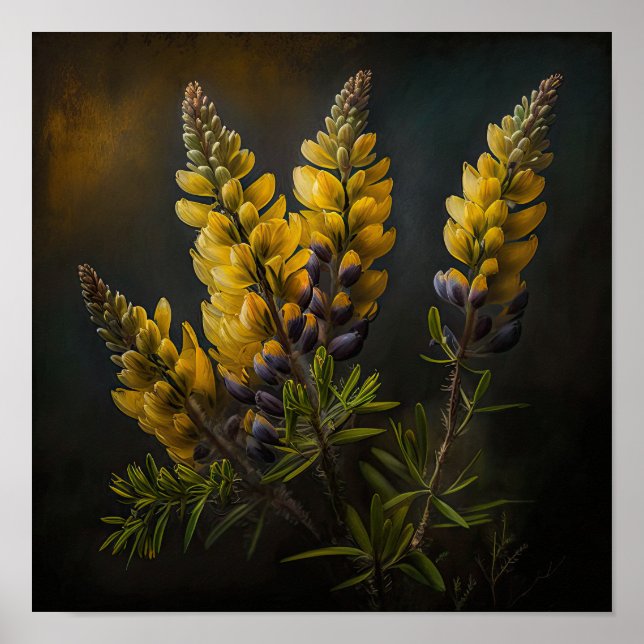Poster d'impression d'Art Lupine Jaune (Devant)