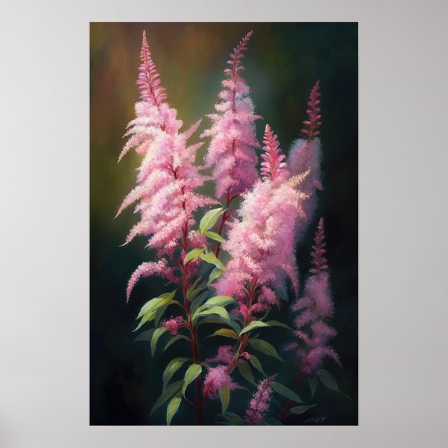 Poster d'impression d'Art rose Astilbe (Devant)