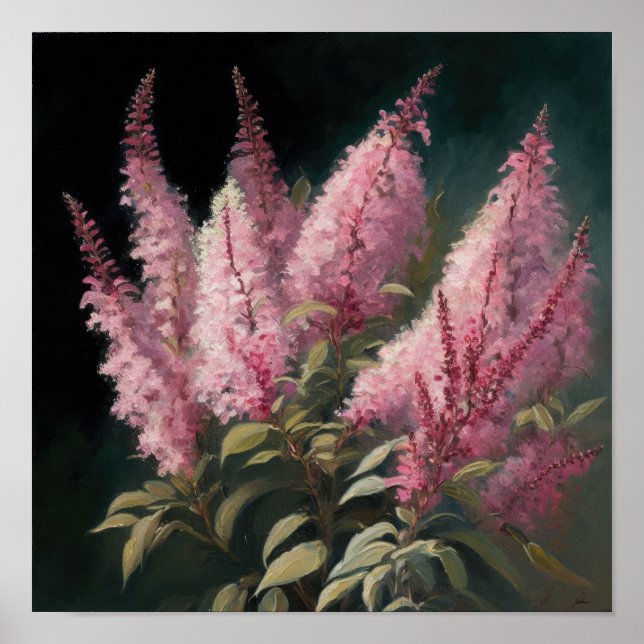 Poster d'impression d'Art rose Astilbe (Devant)