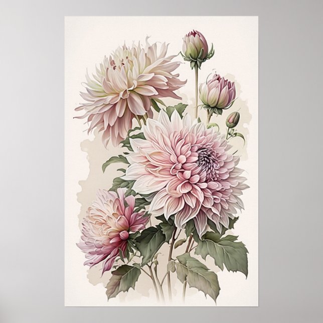 Poster d'impression d'art rose Dahlias (Devant)