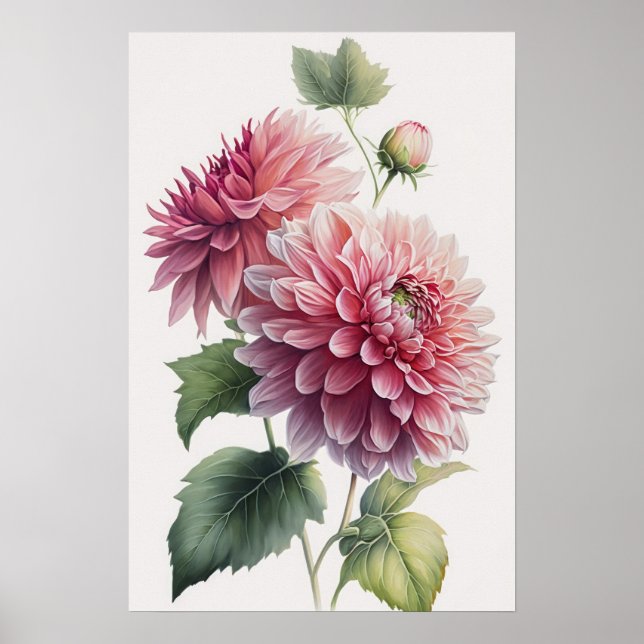 Poster d'impression d'art rose Dahlias (Devant)