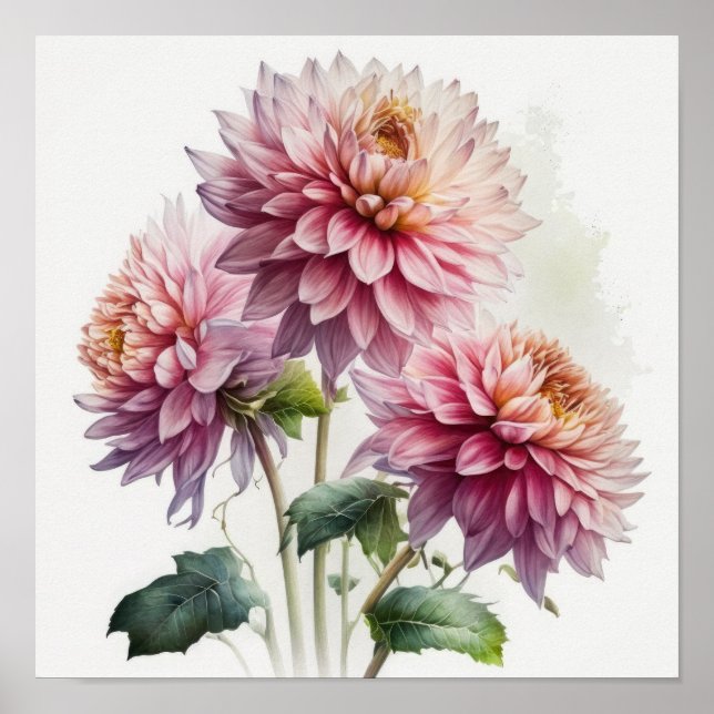 Poster d'impression d'art rose Dahlias (Devant)