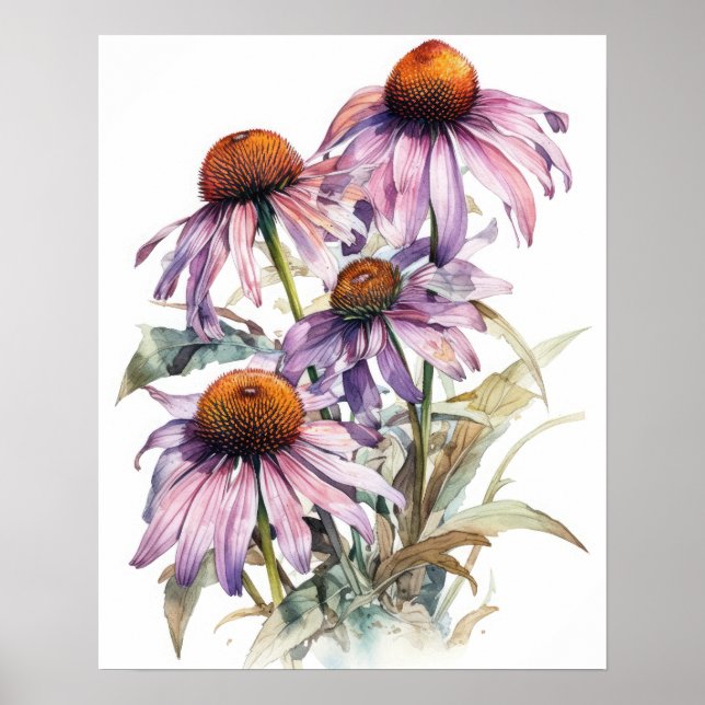 Poster d'impression d'art rose de fleurs de confle (Devant)