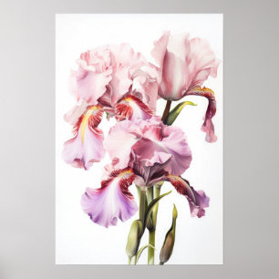 Poster d'impression d'art rose Irises