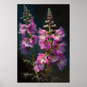 Poster d'impression d'art rose Larkspur