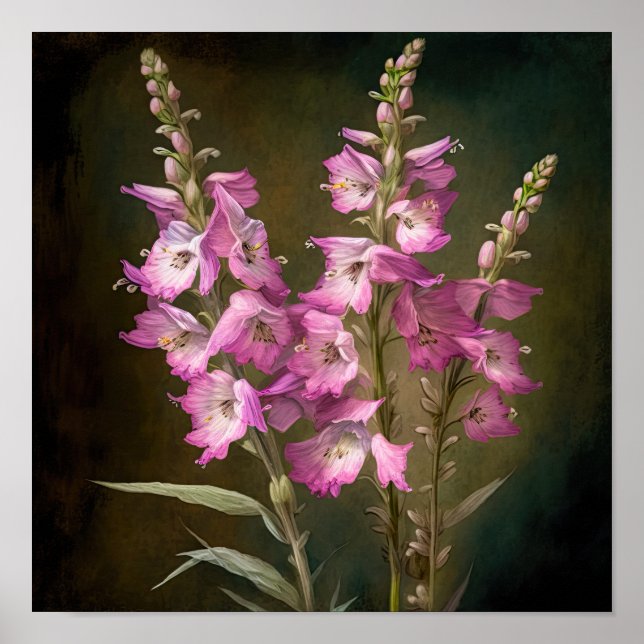Poster d'impression d'art rose Larkspur (Devant)
